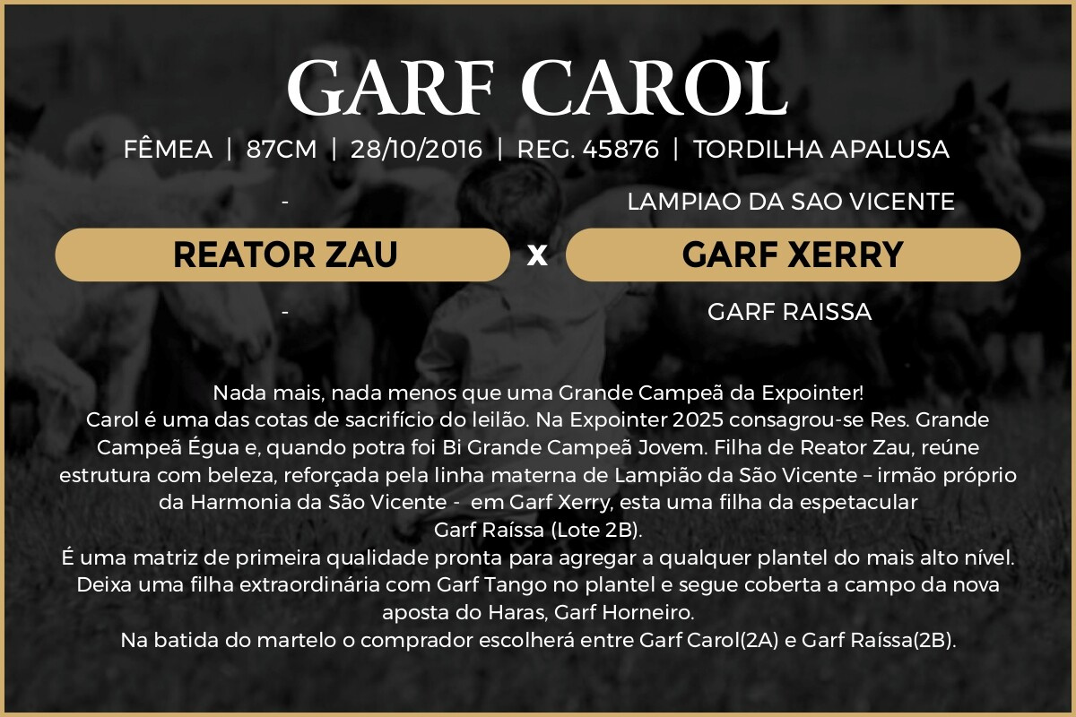 Geração GARF CAROL