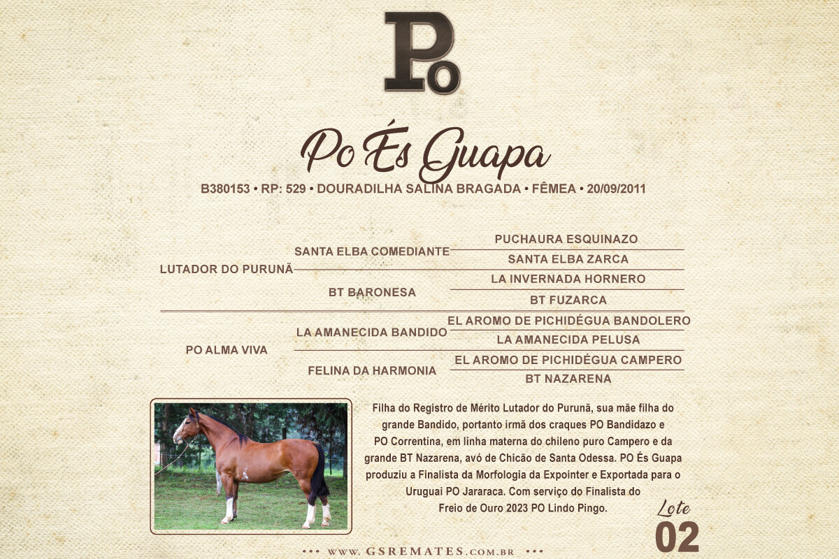 Geração PO ÉS GUAPA