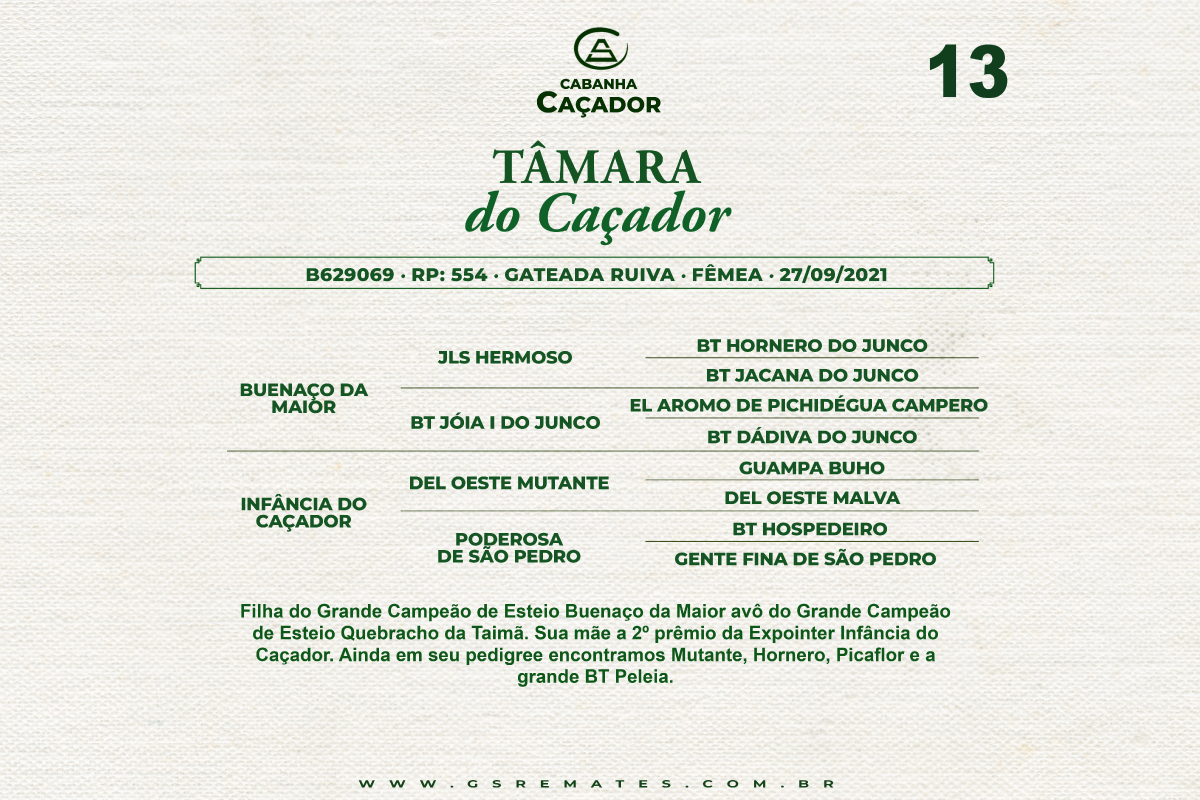 Geração TAMARA DO CAÇADOR