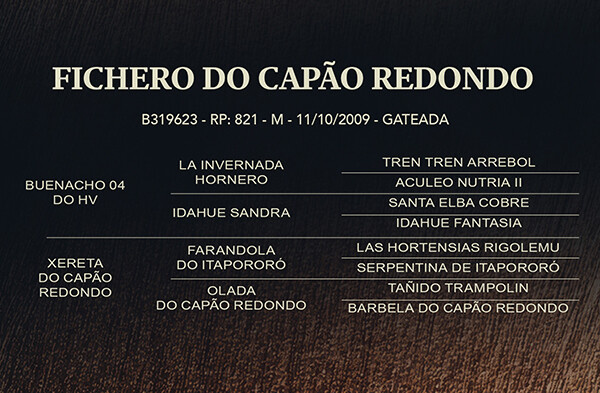 Geração FICHERO DO CAPÃO REDONDO ou DESTAQUE DA MAIOR
