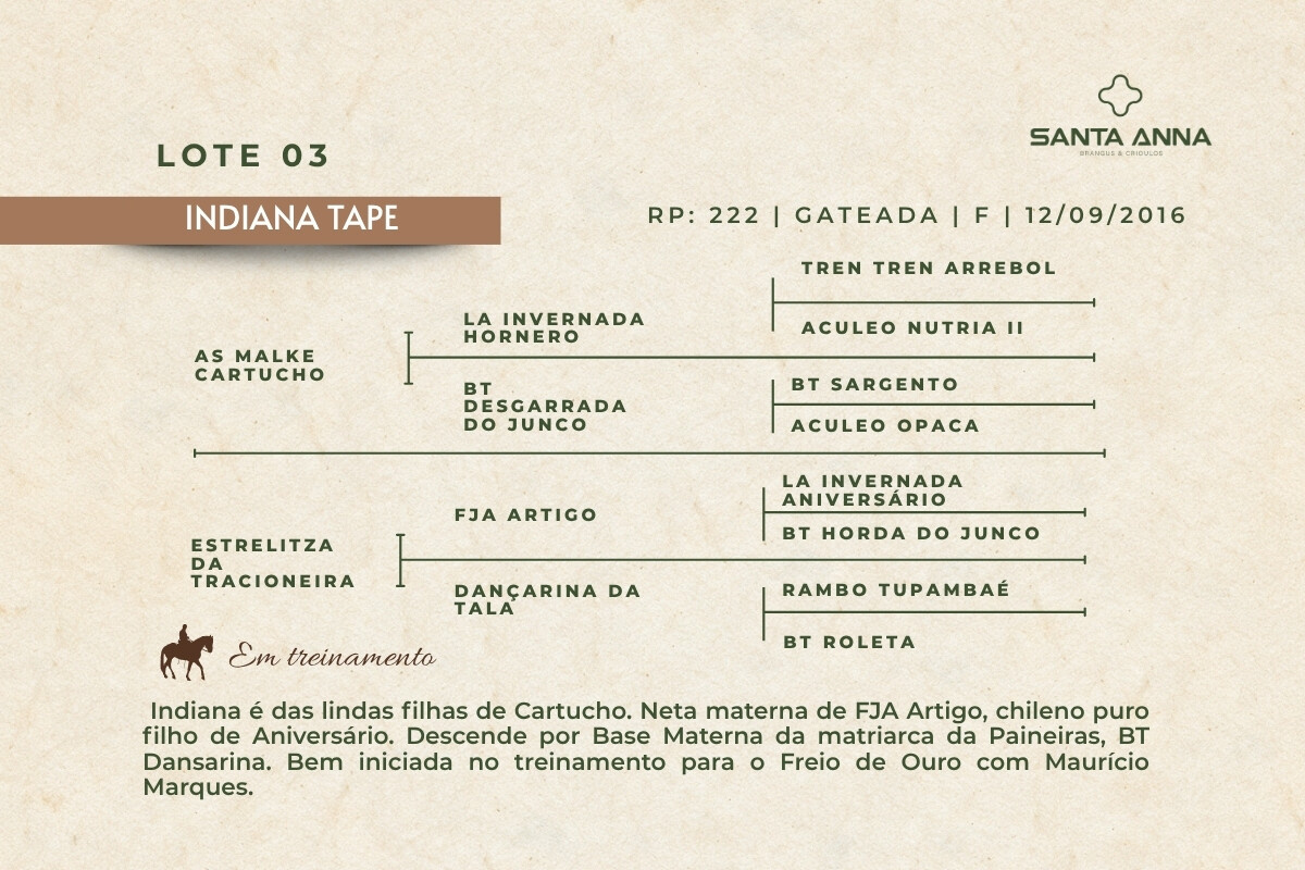 Geração INDIANA TAPE