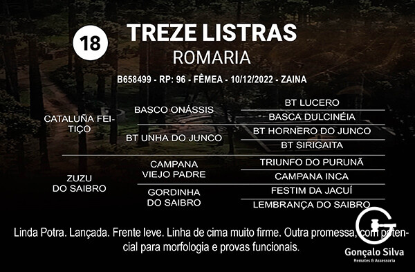 Geração TREZE LISTRAS ROMARIA