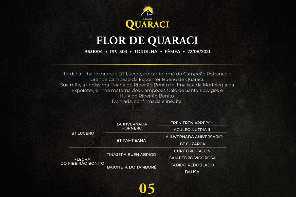 Geração FLOR DE QUARACI