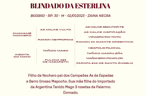 Geração BLINDADO DA ESTERLINA