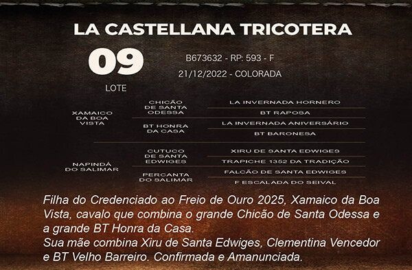 Geração LA CASTELLANA TRICOTERA