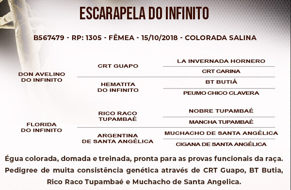 Geração ESCARAPELA DO INFINITO