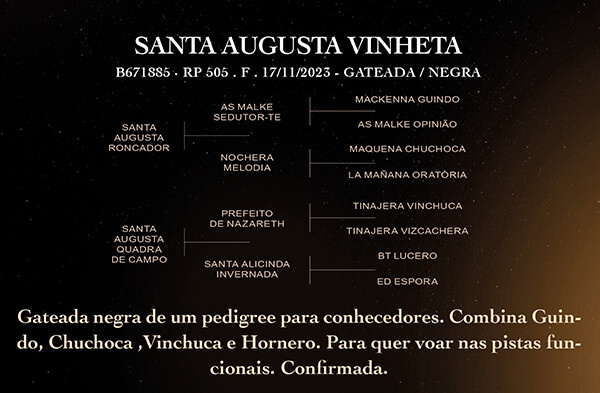 Geração SANTA AUGUSTA VINHETA