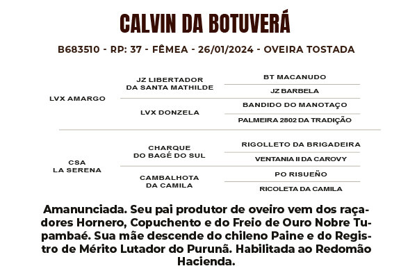 Geração CALVIN DA BOTUVERÁ SR