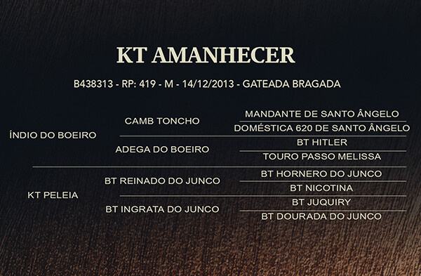 Geração KT AMANHECER