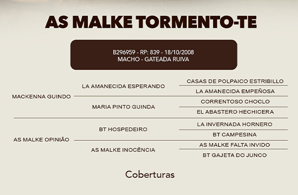 Geração COBERTURA AS MALKE TORMENTO - TE
