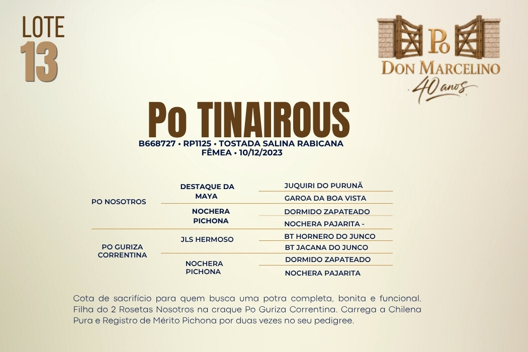 Geração PO TINAIROUS