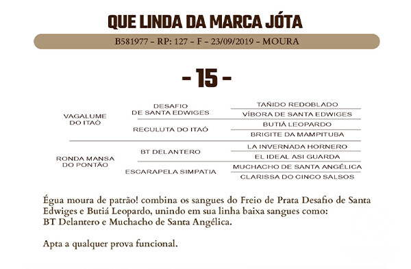 Geração QUE LINDA DA MARCA JÓTA