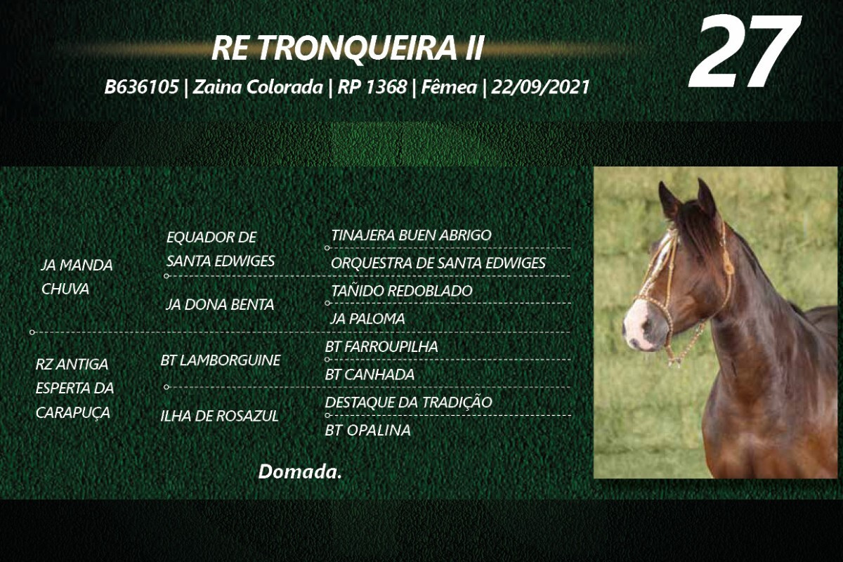 Geração RE TRONQUEIRA II