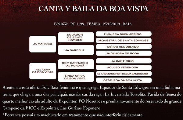 Geração CANTA Y BAILA DA BOA VISTA
