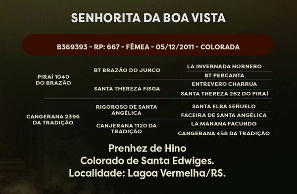 Geração SENHORITA DA BOA VISTA 