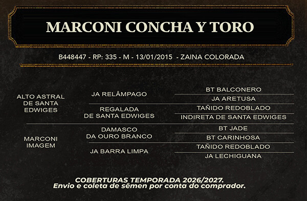 Geração MARCONI CONCHA Y TORO