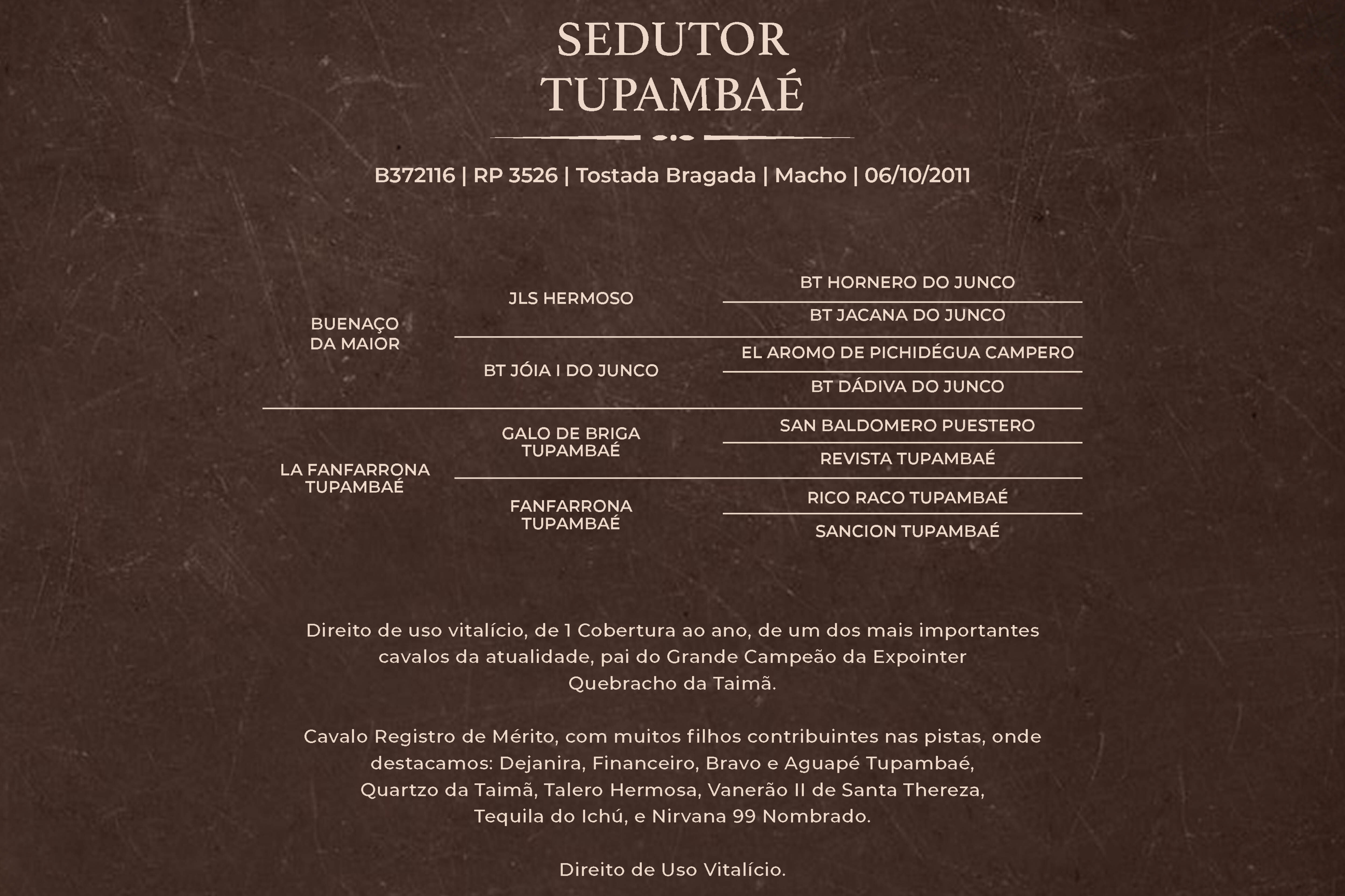 Geração SEDUTOR TUPAMBAÉ - Direito de uso 