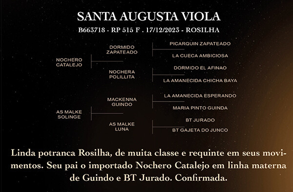 Geração SANTA AUGUSTA VIOLA