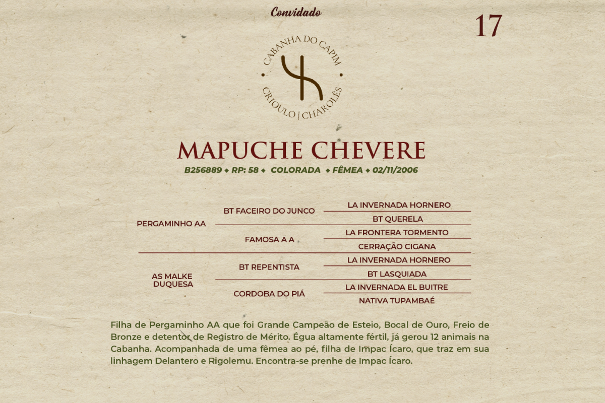 Geração MAPUCHE CHEVERE