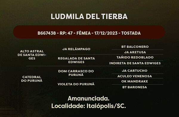 Geração LUDMILA DEL TIERBA