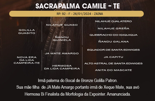 Geração SACRAPALMA CAMILE - TE 