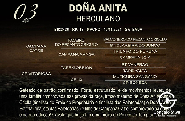 Geração DOÑA ANITA HERCULO