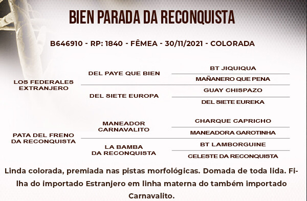 Geração BIEN PARADA DA RECONQUISTA