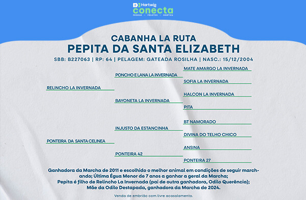 Geração PEPITA DA SANTA ELIZABETH - (ELEIÇÃO DE EMBRIÃO)