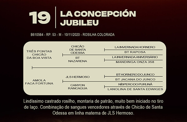 Geração LA CONCEPCION JUBILEU