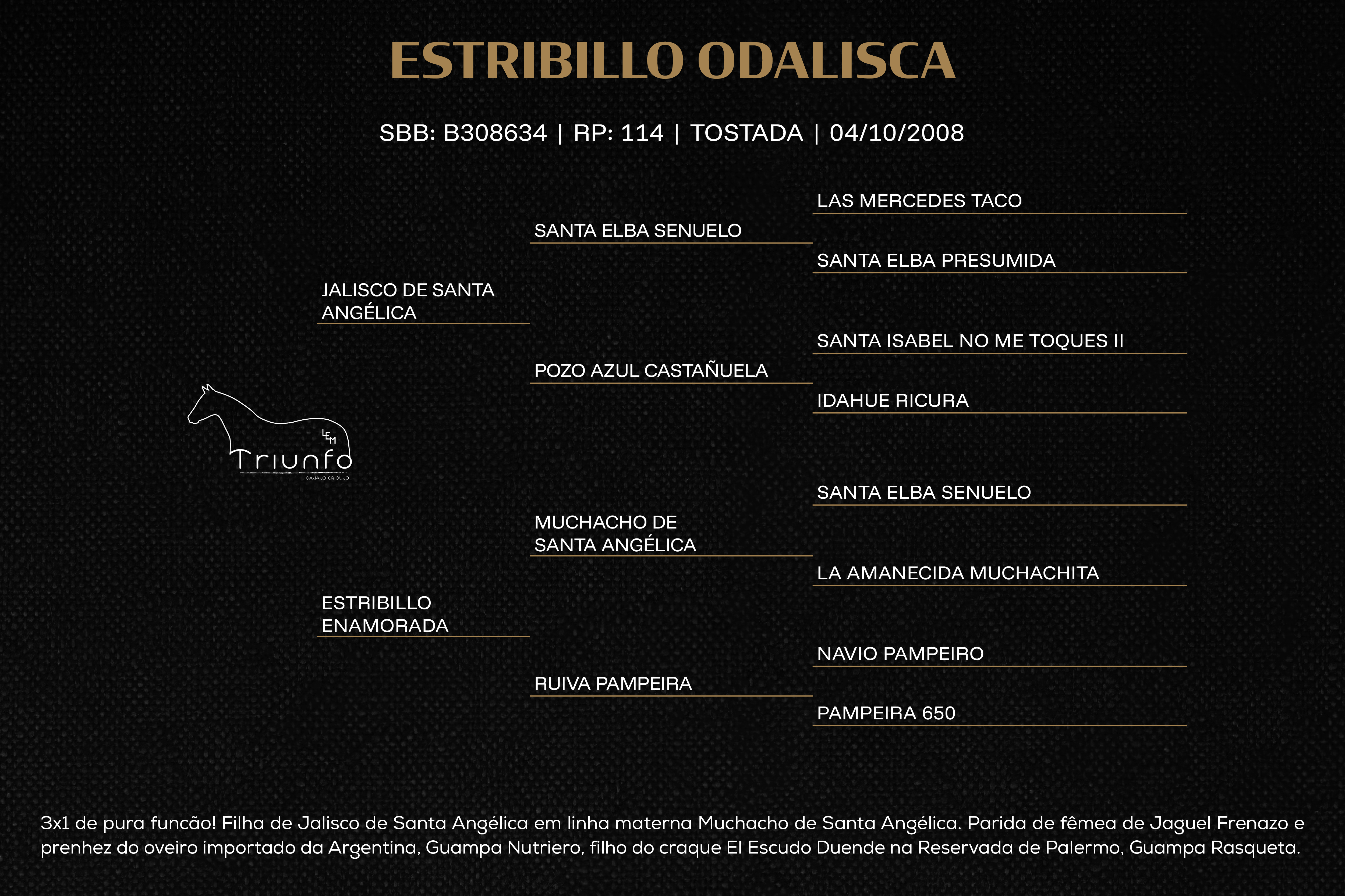 Geração ESTRIBILLO ODALISCA