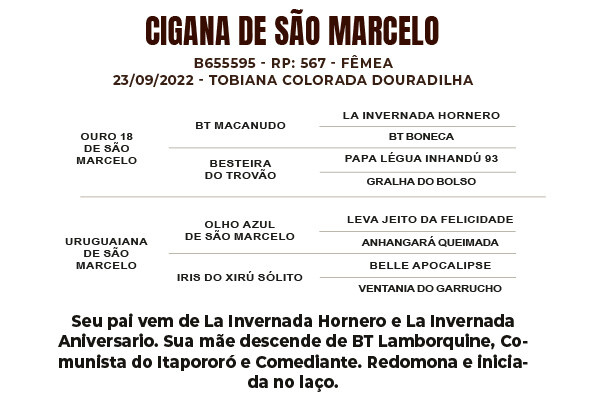 Geração CIGANA DE SÃO MARCELO