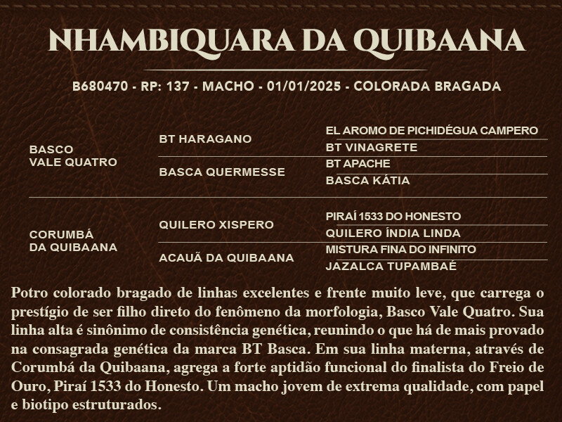 Geração NHAMBIQUARA DA QUIBAANA