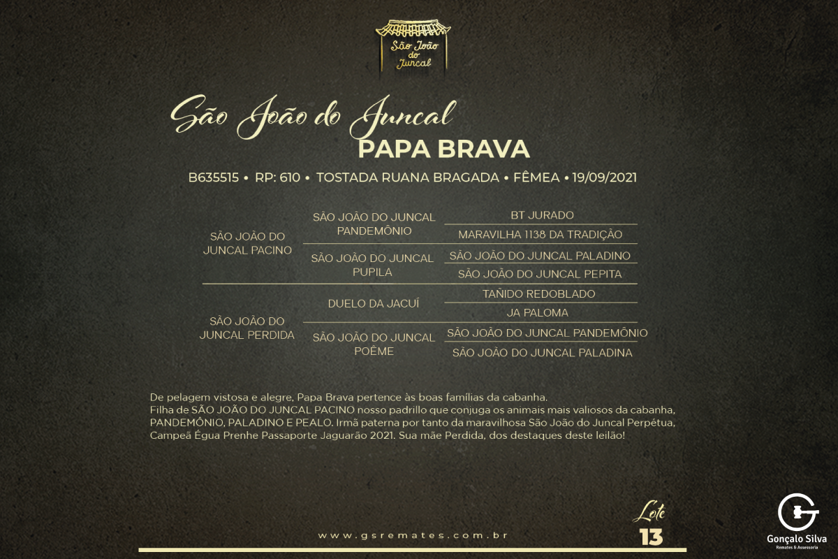 Geração SÃO JOÃO DO JUNCAL PAPA BRAVA