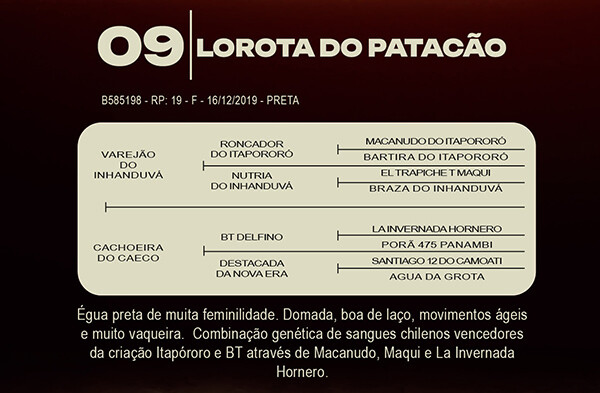 Geração LOROTA DO PATACÃO