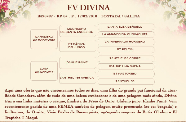 Geração FV DIVINA 
