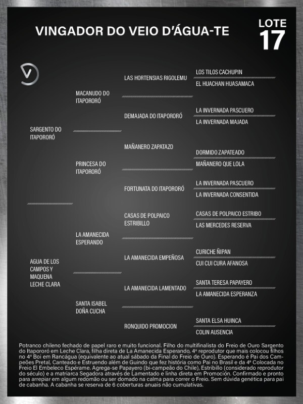 Geração VINGADOR DO VEIO D'ÁGUA-TE