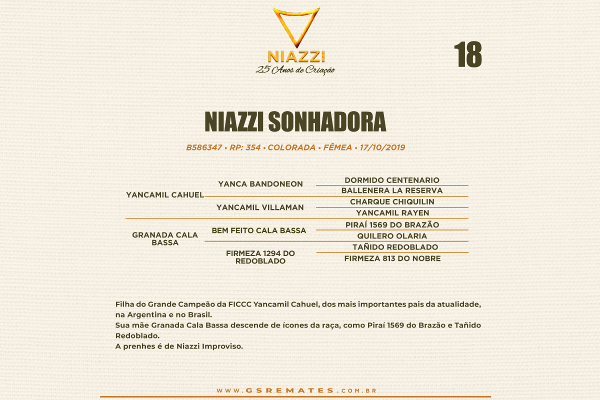 Geração NIAZZI SONHADORA