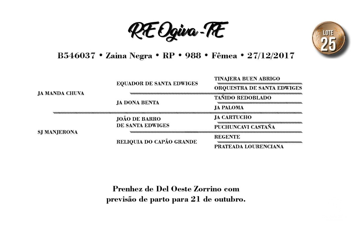 Geração RE OGIVA-TE