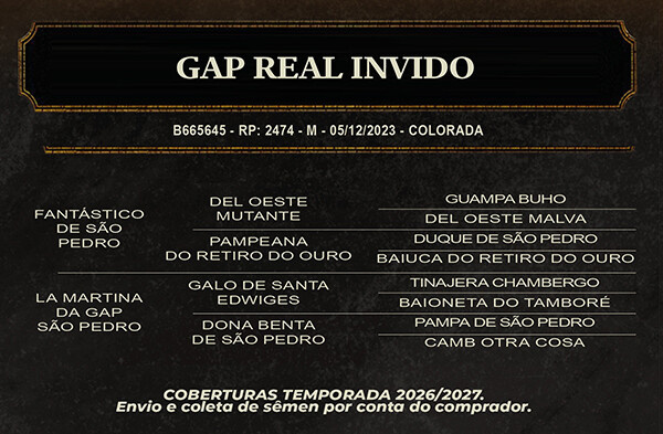 Geração GAP REAL INVIDO 
