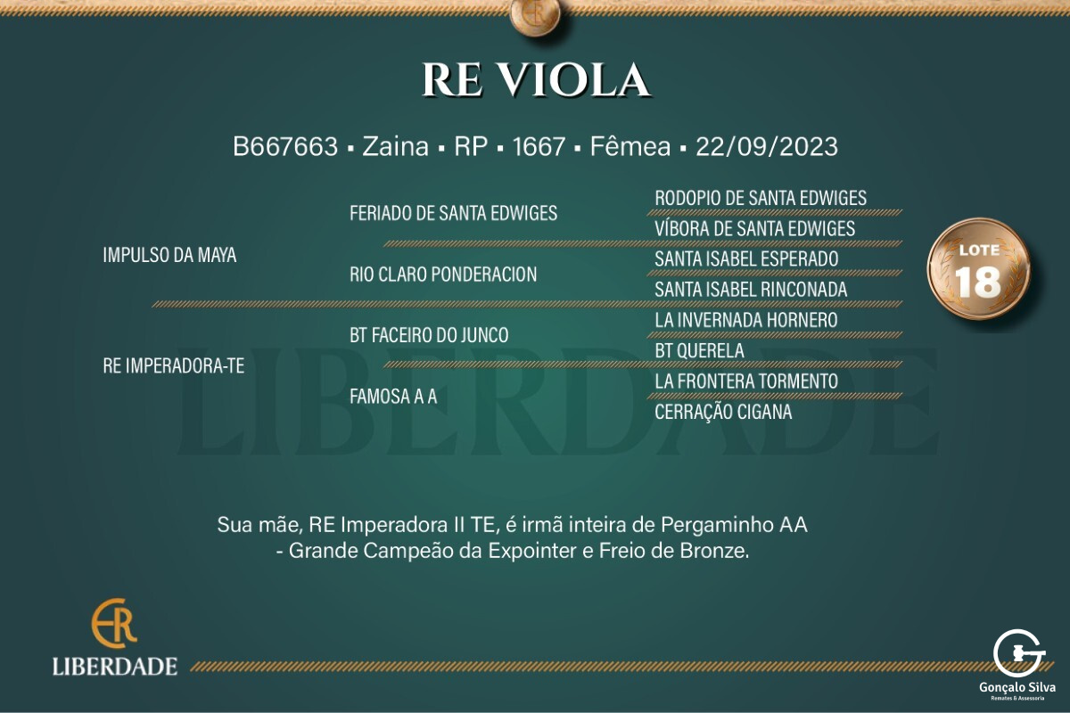 Geração RE VIOLA