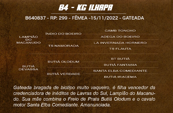 Geração KG ILHAPA