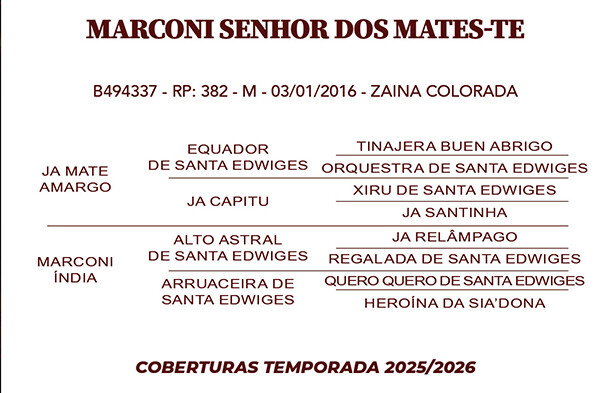 Geração MARCONI SENHOR DOS MATES - TE 