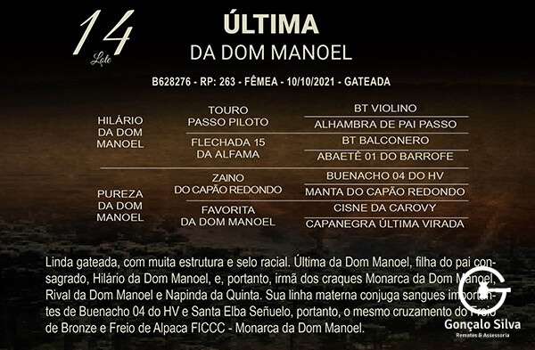 Geração ÚLTIMA DA DOM MANOEL