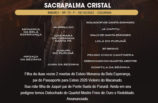 Geração SACRAPALMA CRISTAL 