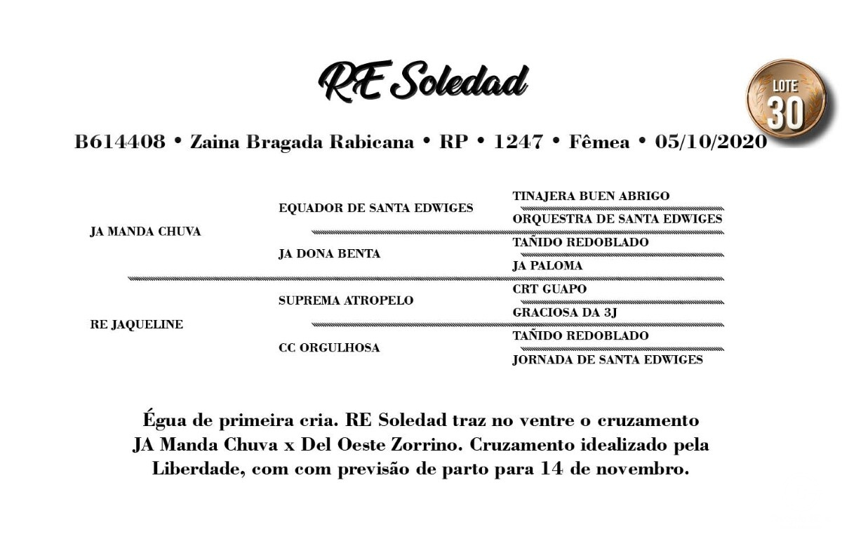 Geração RE SOLEDAD