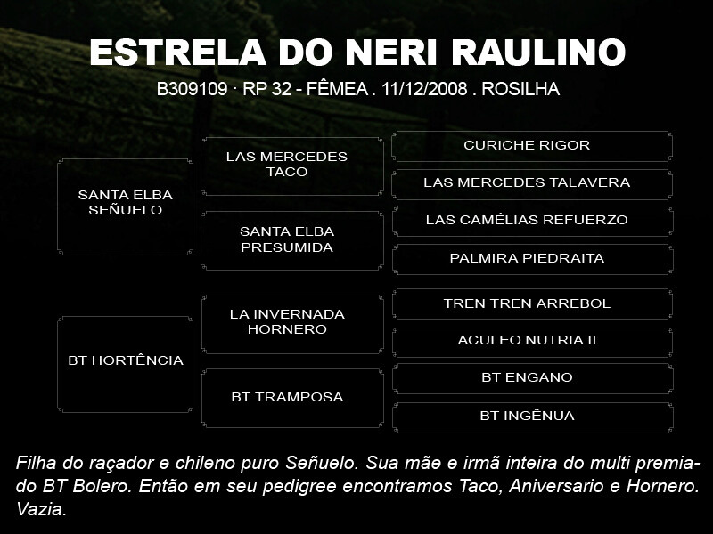 Geração ESTRELA DO NERI RAULINO 