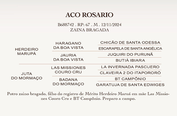 Geração  ACO ROSARIO