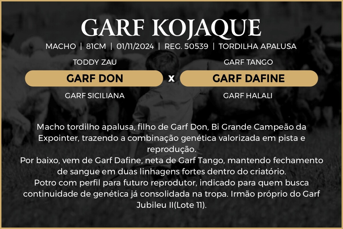 Geração GARF KOJAQUE 