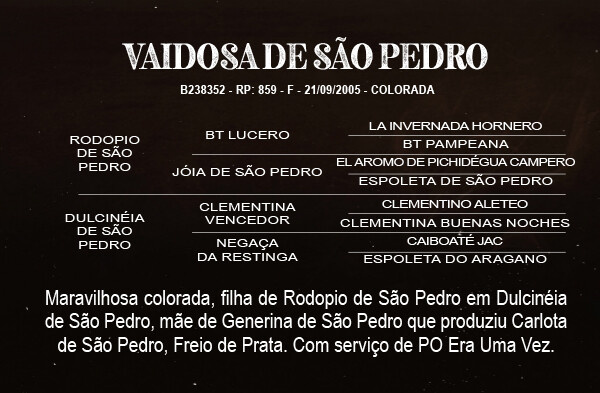 Geração VAIDOSA DE SÃO PEDRO 