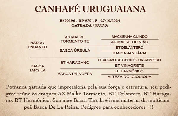 Geração CANHAFÉ URUGUAIANA